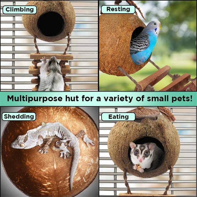 Hermit Crab Coco Hut with Ladder, 5” Diameter, 2.5” Opening, Cave Habitat with Hanging Loop