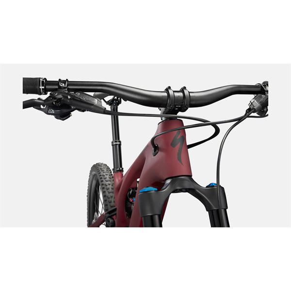 SPECIALIZED Turbo Levo Expert (Maroon / Black)